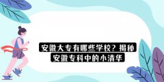 安徽大專有哪些學(xué)校？揭秘安徽?？浦械男∏迦A